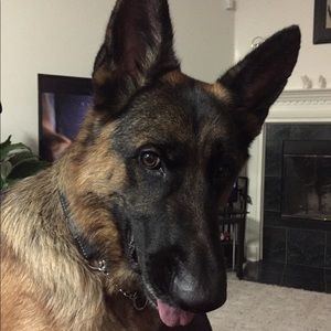 Meet your Posher, Mary